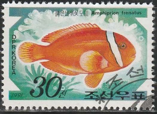 THEMATIC FISH KOREA ULH