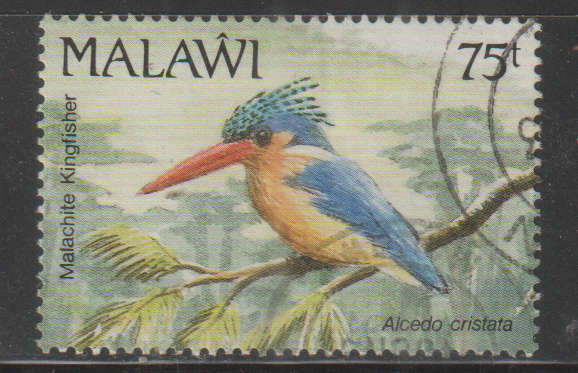 THEMATIC BIRDS MALAWI ULH