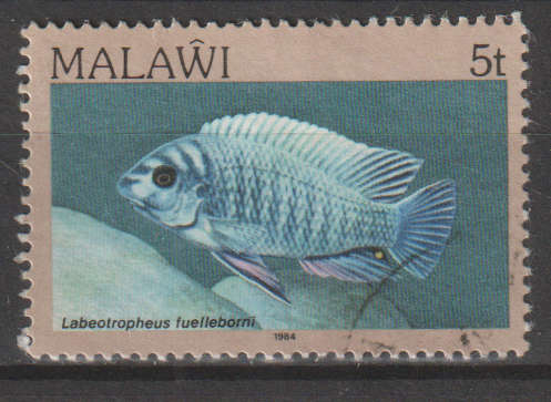 MALAWI 1984 Fish ULH SG 690