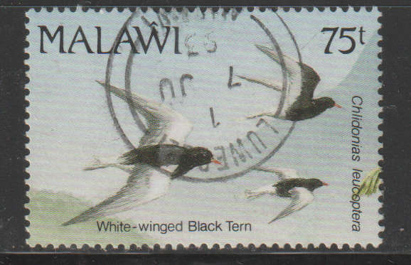 THEMATIC BIRDS MALAWI ULH