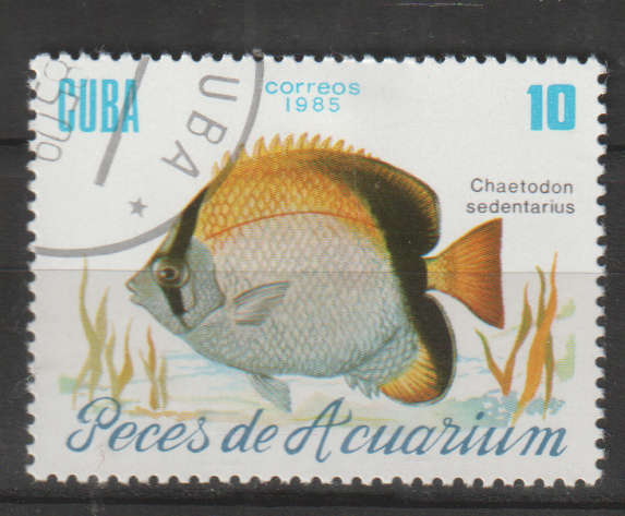 THEMATIC MARINE LIFE/FISH CUBA ULH