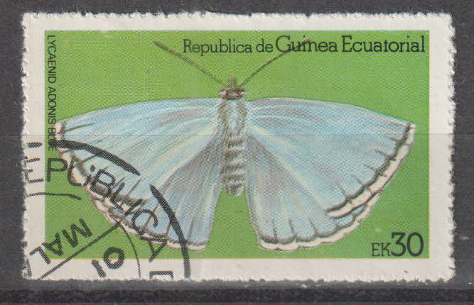 THEMATIC BUTTERFLIES EQUATORIAL GUINEA ULH