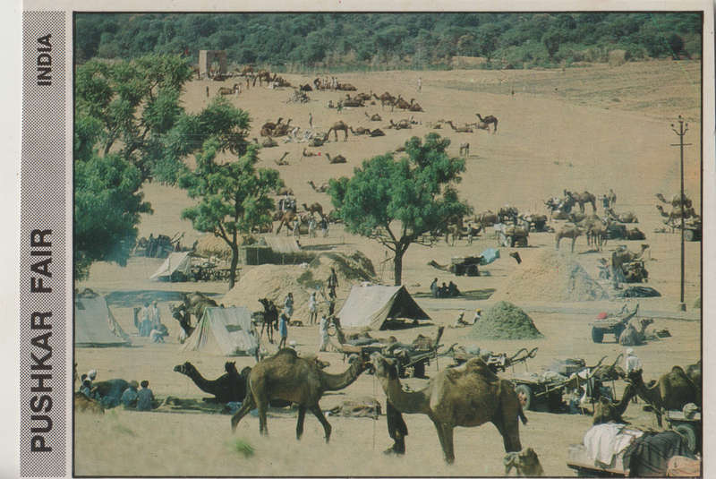 MINT POST CARD INDIA