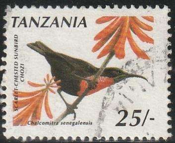 THEMATIC BIRDS TANZANIA VFU