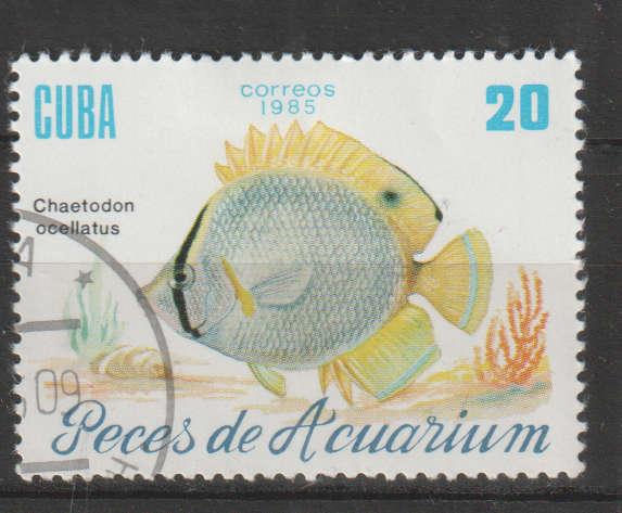 THEMATIC MARINE LIFE/FISH CUBA ULH