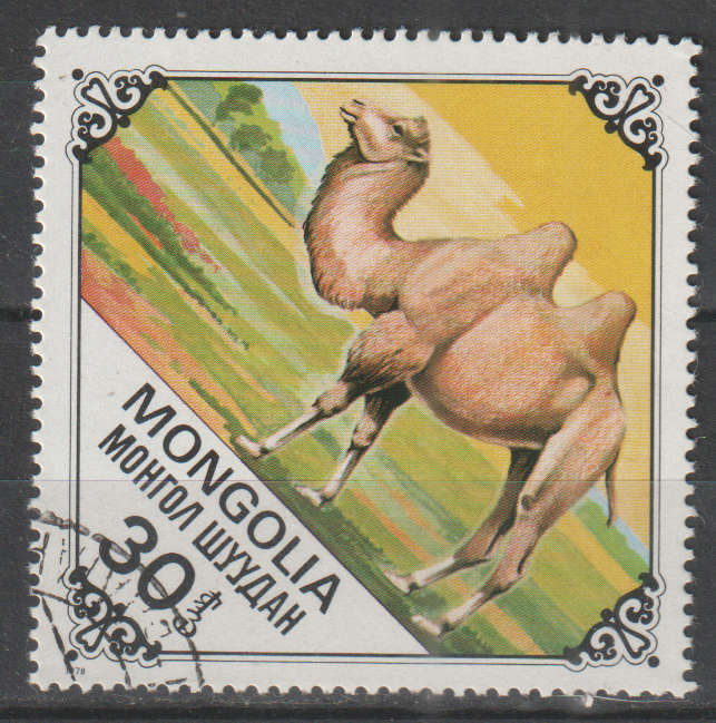 THEMATIC ANIMALS MONGOLIA ULH