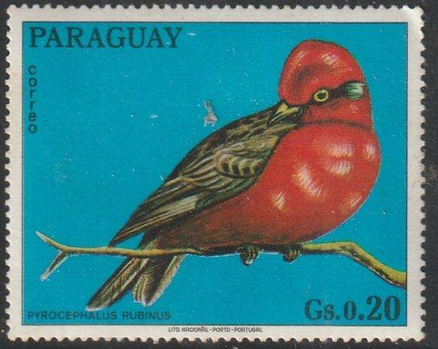 THEMATIC BIRDS PARAGUAY UMM
