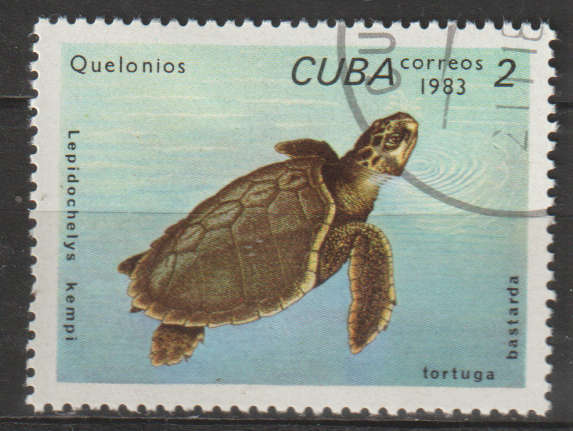 THEMATIC MARINE LIFE/FISH CUBA ULH