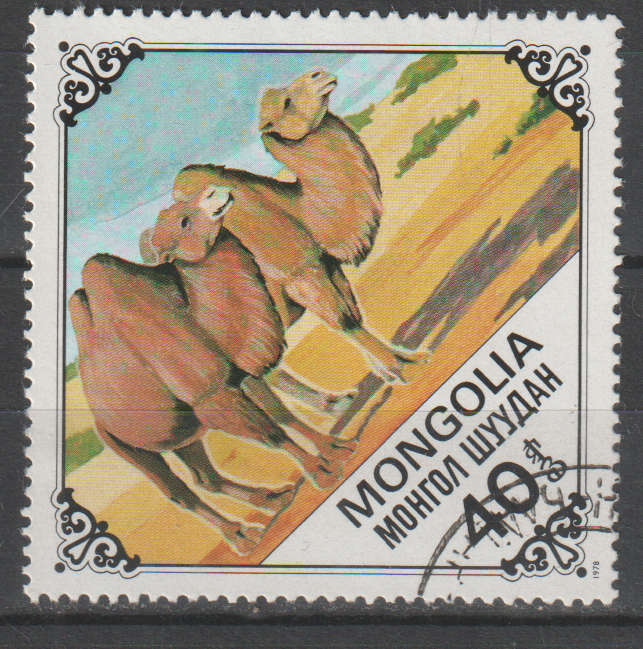 THEMATIC ANIMALS MONGOLIA ULH