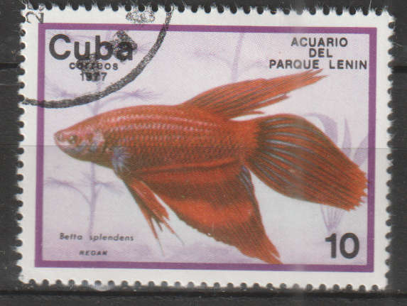 THEMATIC MARINE LIFE/FISH CUBA ULH