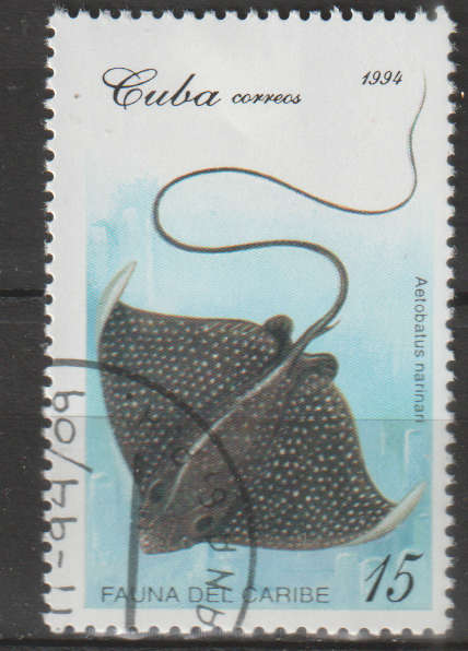 THEMATIC MARINE LIFE/FISH S CUBA CTO
