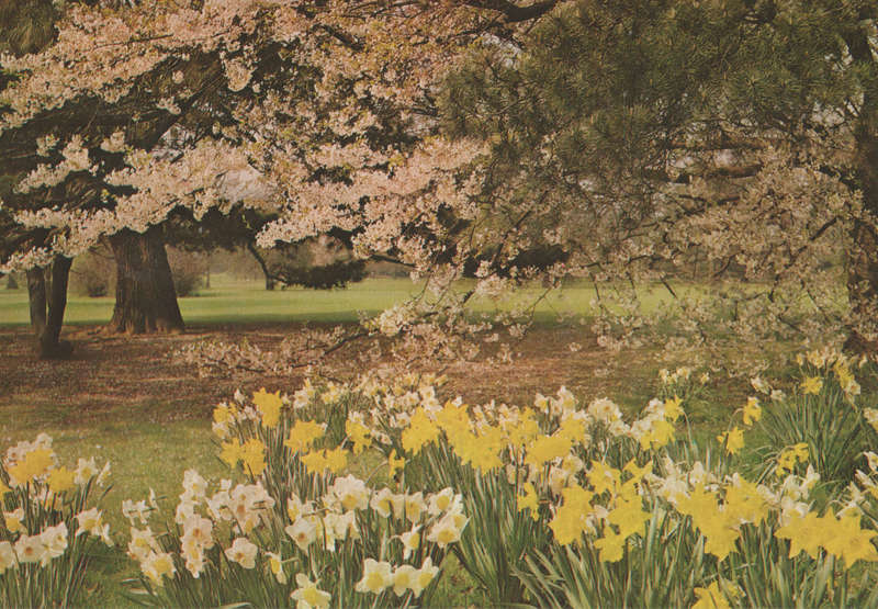 USED POST CARD
