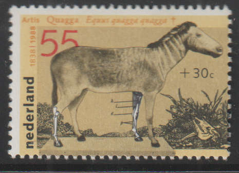 NETHERLANDS 1988 Summer Stamps - The Zoo UMM SG 1528A