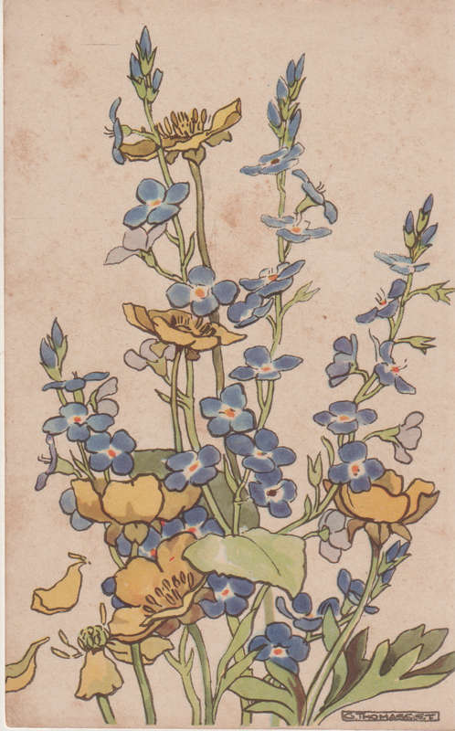 MINT POST CARD GB