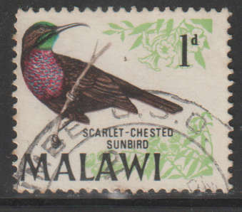 THEMATIC BIRDS MALAWI ULH
