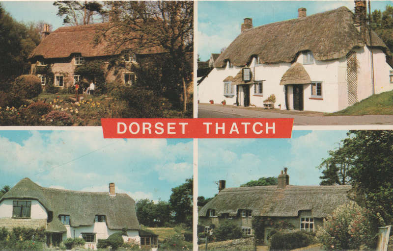 MINT POST CARD