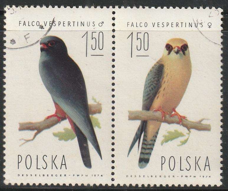 THEMATIC BIRDS POLAND ULH