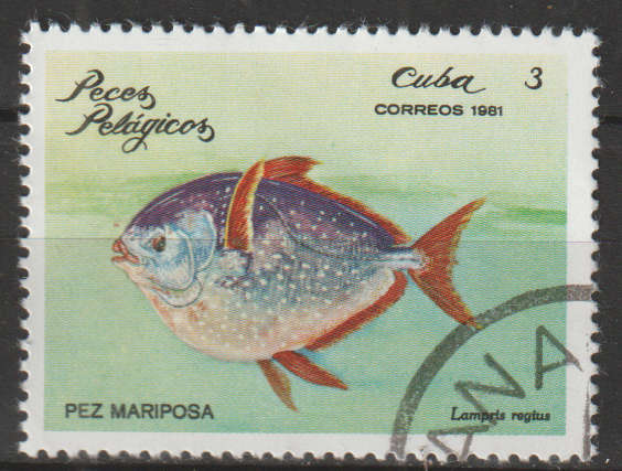 THEMATIC MARINE LIFE/FISH S CUBA CTO