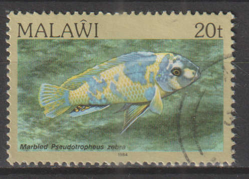 MALAWI 1984 Fish ULH SG 695