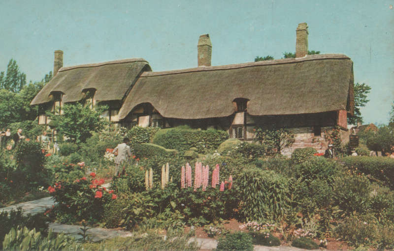 MINT POST CARD