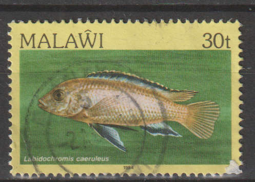 MALAWI 1984 Fish ULH SG 696