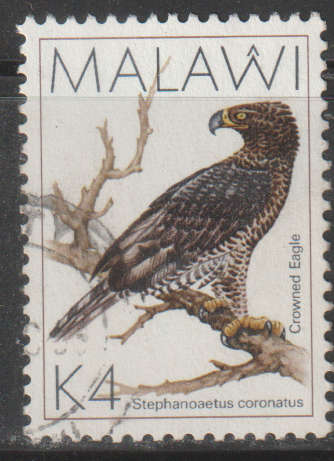 THEMATIC BIRDS MALAWI ULH