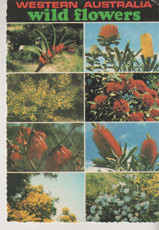 USED POST CARD