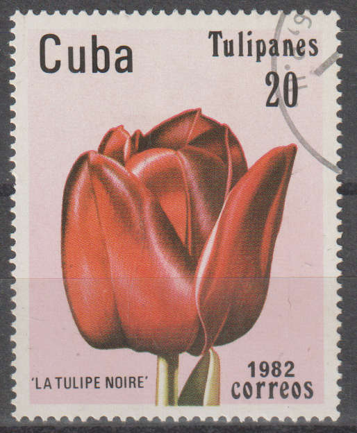 THEMATIC FLOWERS CUBA ULH