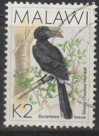 THEMATIC BIRDS MALAWI ULH