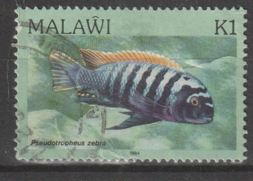 MALAWI 1984 Fish ULH SG 700
