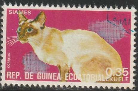 THEMATIC CATS EQUATORIAL GUINEA CTO