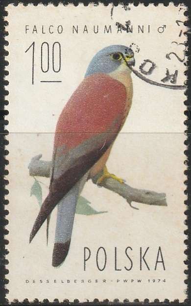 THEMATIC BIRDS POLAND ULH
