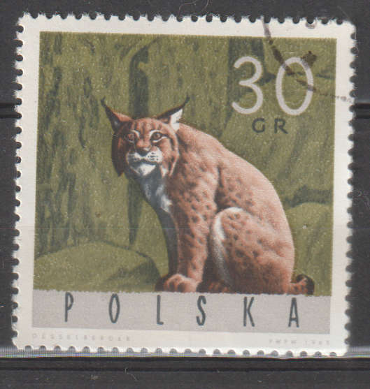 THEMATIC ANIMALS POLAND ULH