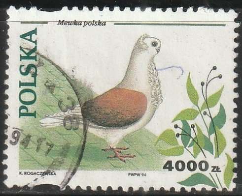 THEMATIC BIRDS POLAND ULH