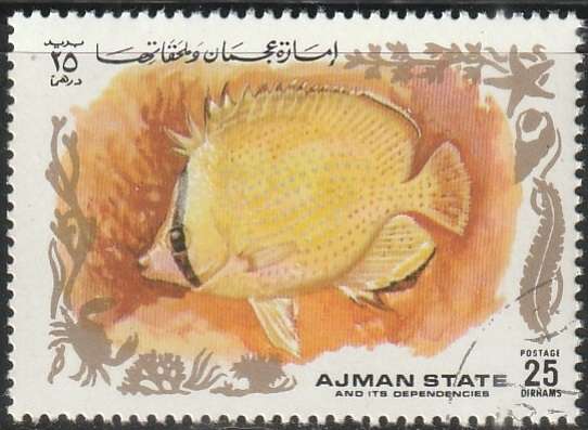 THEMATIC FISH AJMAN ULH