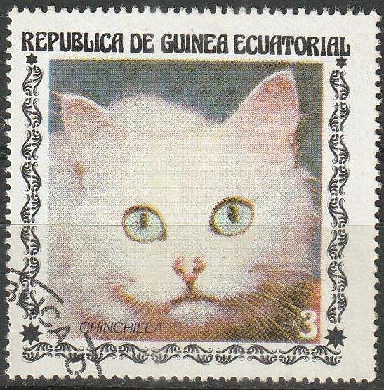 THEMATIC CATS EQUATORIAL GUINEA ULH