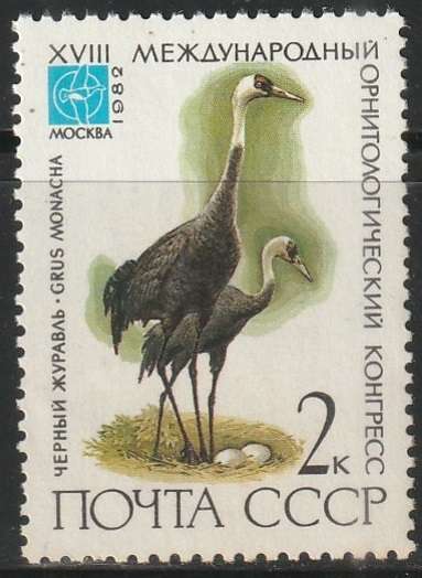THEMATIC BIRDS RUSSIA UNH