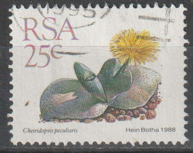 RSA STAMP