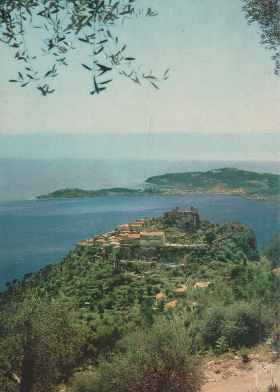 MINT POST CARD