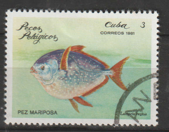 THEMATIC MARINE LIFE/FISH CUBA CTO