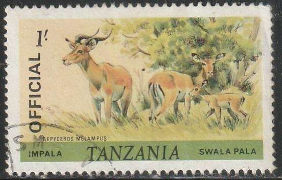 THEMATIC OFFICIAL TANZANIA VFU