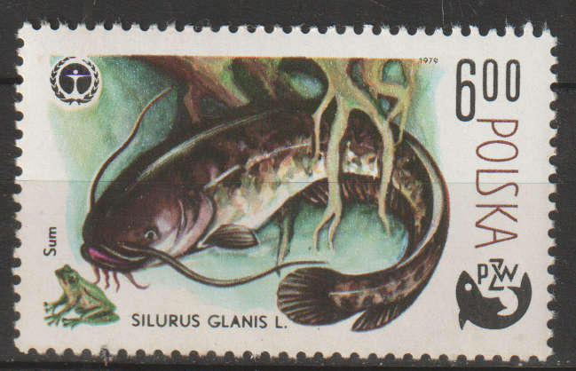 THEMATIC MARINE LIFE/FISH POLAND MM