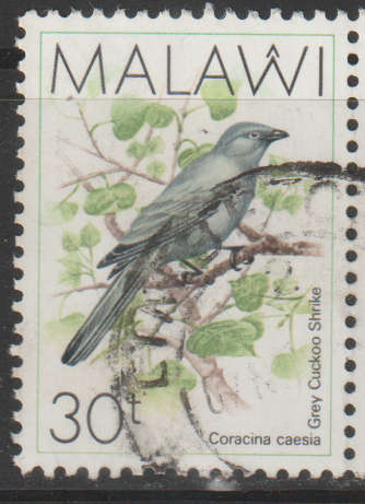 THEMATIC BIRDS MALAWI ULH
