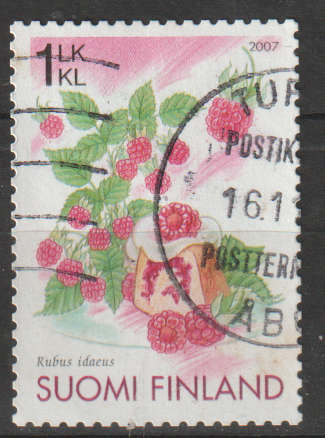 FINLAND 2007 Raspberry ULH SG 1878