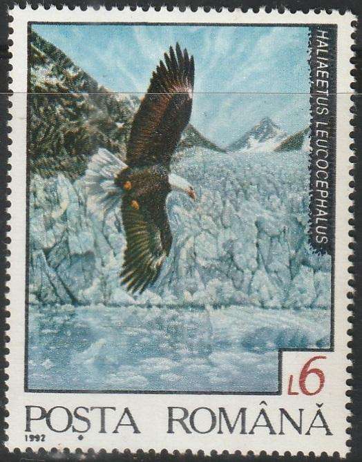 THEMATIC BIRDS ROMANIA UMM