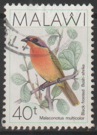 THEMATIC BIRDS MALAWI ULH