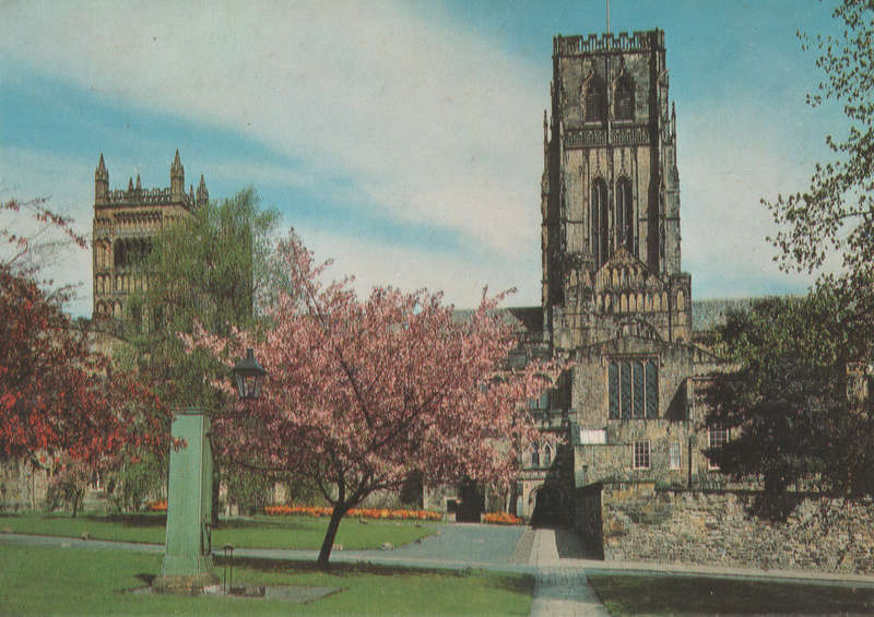 MINT POST CARD