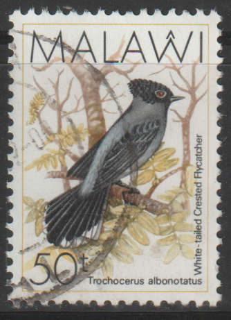 THEMATIC BIRDS MALAWI ULH