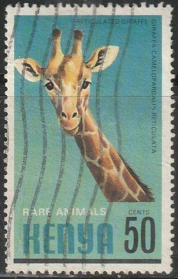THEMATIC ANIMALS KENYA UNH