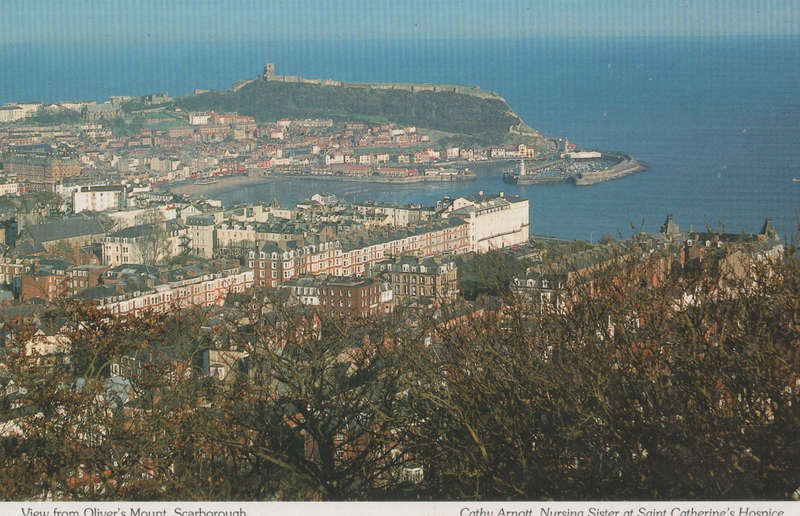 MINT POST CARD